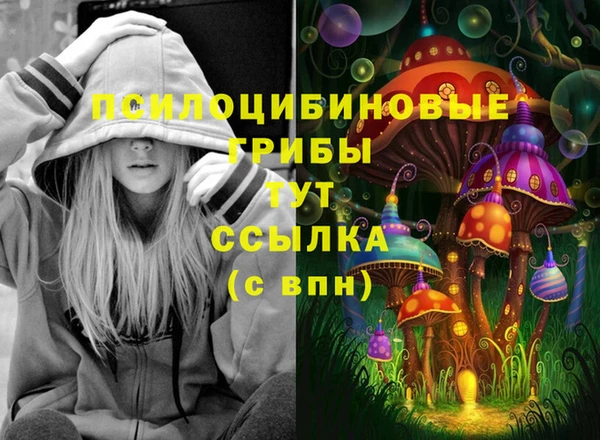 ГАЛЛЮЦИНОГЕННЫЕ ГРИБЫ Волоколамск